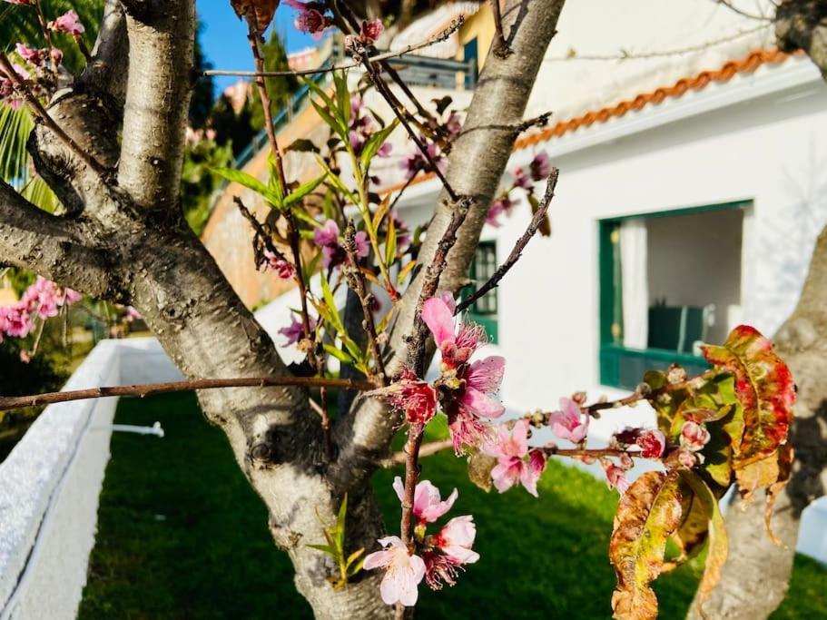 Appartement Vivienda Vacacional Con Vistas. à El El Sauzal Extérieur photo